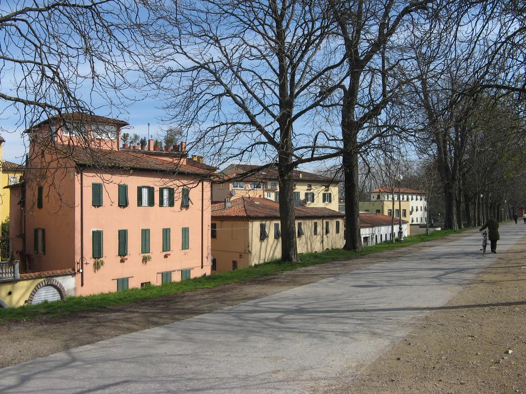 La Terrazza Fra Le Torri Apartment Lucca Exterior foto